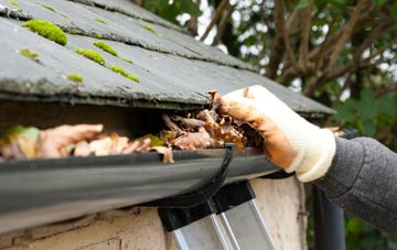 gutter cleaning Croes Hywel, Monmouthshire