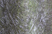 Croes Hywel fibreglass roof work